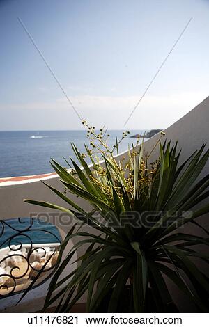 travel, spain, mallorca, seaside View Large Photo Image Stock Image - travel, spain, mallorca, seaside. Fotosearch