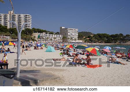 travel, spain, mallorca, seaside View Large Photo Image Stock Image - travel, spain, mallorca, seaside. Fotosearch