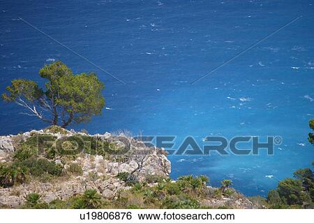 travel, spain, mallorca, seaside View Large Photo Image Stock Photograph - travel, spain, mallorca, seaside. Fotosearch