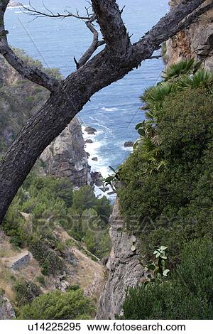 travel, spain, mallorca, seaside View Large Photo Image Stock Photography - travel, spain, mallorca, seaside. Fotosearch