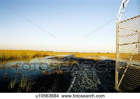 Picture - travel, usa, florida. Fotosearch
