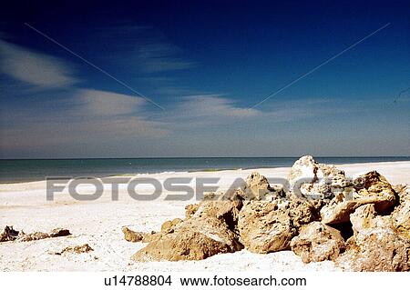 Picture - travel, usa, florida. Fotosearch