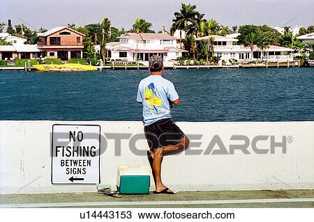 travel, usa, florida View Large Photo Image Stock Image - travel, usa, florida. Fotosearch