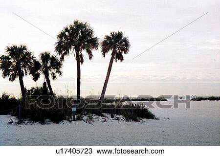 travel, usa, florida View Large Photo Image Stock Image - travel, usa, florida. Fotosearch