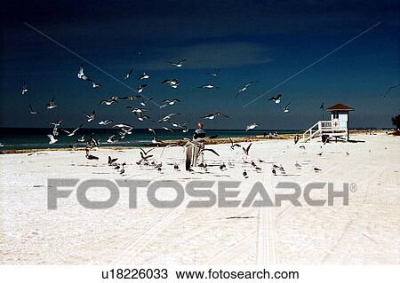 Stock Image - travel, usa, florida. Fotosearch
