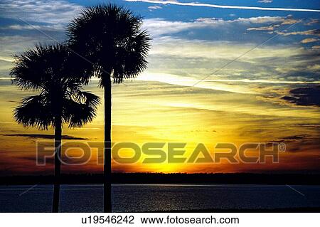Stock Image - travel, usa, florida. Fotosearch