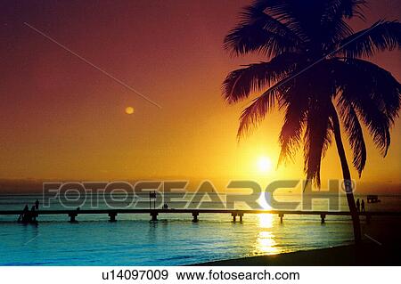 travel, usa, florida View Large Photo Image Stock Photo - travel, usa, florida. Fotosearch