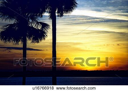 travel, usa, florida View Large Photo Image Stock Photo - travel, usa, florida. Fotosearch
