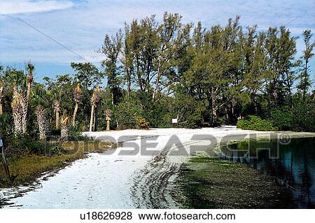 Stock Photo - travel, usa, florida. Fotosearch