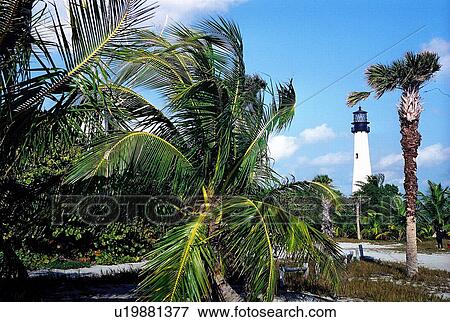 travel, usa, florida View Large Photo Image Stock Photo - travel, usa, florida. Fotosearch