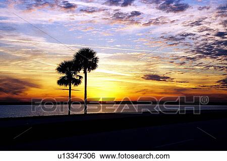 travel, usa, florida View Large Photo Image Stock Photograph - travel, usa, florida. Fotosearch