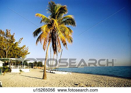 Stock Photograph - travel, usa, florida. Fotosearch