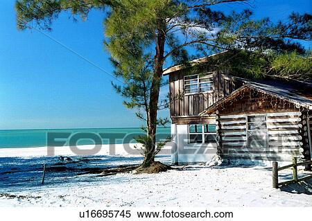 Stock Photography - travel, usa, florida. Fotosearch
