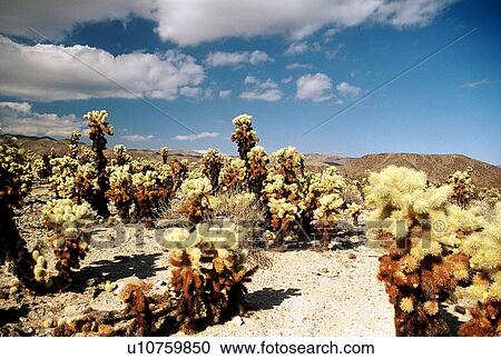 Stock Image - travel, usa, west, states. Fotosearch