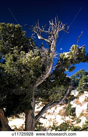 Stock Photo - travel, usa, west, states. Fotosearch