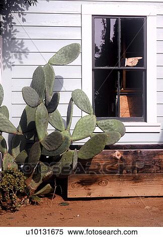 Stock Photography - travel, usa, west, states. Fotosearch