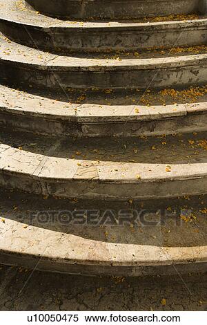 Stock Photography - Steps sprinkled with yellow petals in Lisbon, Portugal.. Fotosearch