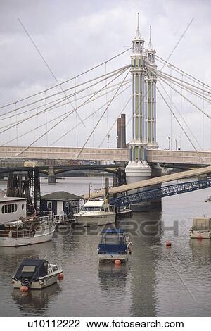 Stock Image - Albert Bridge, Chelsea. Fotosearch