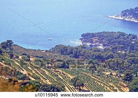 Cap Cenaille - view of coastline View Large Photo Image Stock Photography - Cap Cenaille - view of coastline. Fotosearch