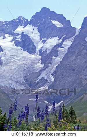Stock Photo - Glacier - Hautes Alpes. Fotosearch