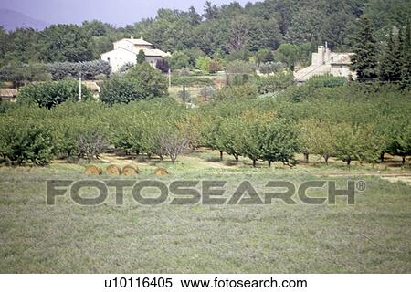 On the way to Roussillon - view of farm View Large Photo Image Stock Photography - On the way to Roussillon - view of farm. Fotosearch