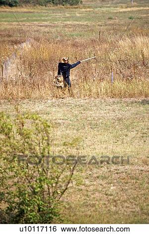 Stock Photograph - Scarecrow on way to Gordes. Fotosearch