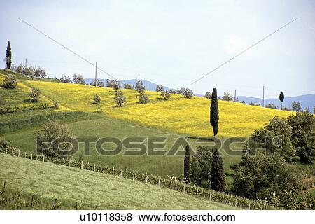 Stock Photo - Chianti landscape. Fotosearch