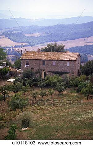 stone farmhouse with red tiled roof hills in background and olive trees in foreground Tuscany Italy View Large Photo Image Stock Image - stone farmhouse with red tiled roof hills in background and olive trees in foreground Tuscany Italy. Fotosearch