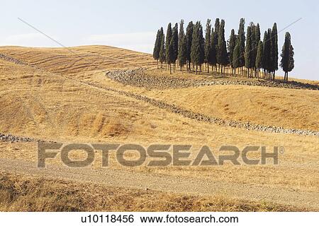 Val d'Orcia View Large Photo Image Stock Photograph - Val d'Orcia. Fotosearch