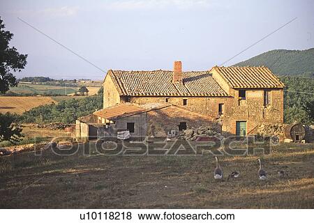 Stock Photo - Val d'Orcia, Tuscany, Italy. Fotosearch