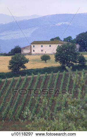 white farmhouse on hill View Large Photo Image Stock Photo - white farmhouse on hill. Fotosearch