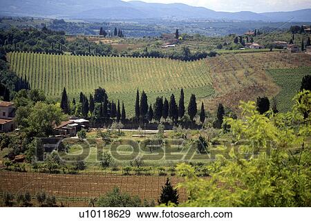 Stock Photo - Chianti landscape. Fotosearch