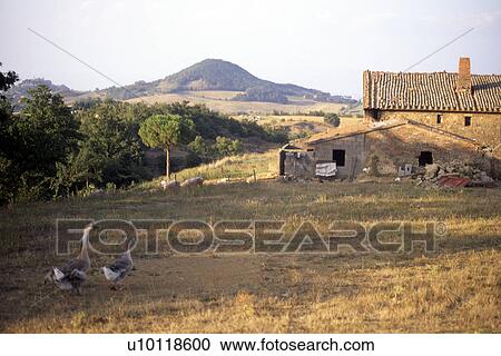 Landscape near Montichiello View Large Photo Image Stock Image - Landscape near Montichiello. Fotosearch