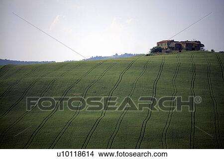 Picture - Landscape near San Gimignano. Fotosearch