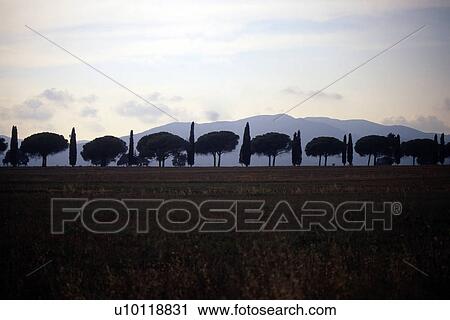 Stock Image - Maremma landscape. Fotosearch