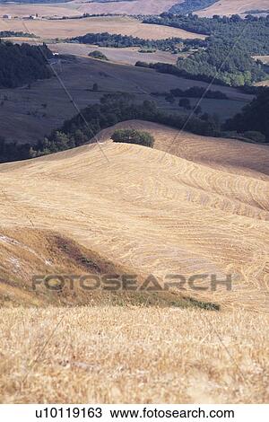 Val d'Orcia View Large Photo Image Stock Image - Val d'Orcia. Fotosearch