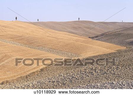 Val d'Orcia View Large Photo Image Stock Photo - Val d'Orcia. Fotosearch