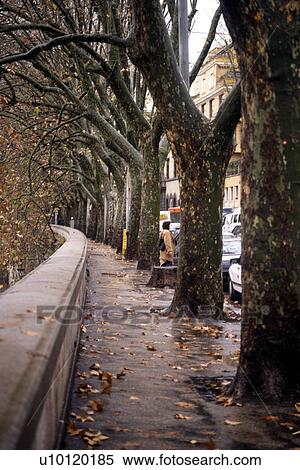 Stock Photography - Lungotevere. Fotosearch