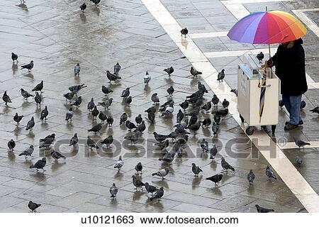 Bird food seller in St Marks Piazza View Large Photo Image Stock Image - Bird food seller in St Marks Piazza. Fotosearch