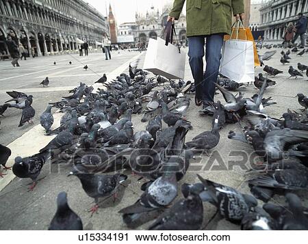 Stock Image - Woman with shopping bags walking through group of pigeons.. Fotosearch