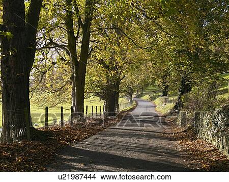 Picture - Country road.. Fotosearch