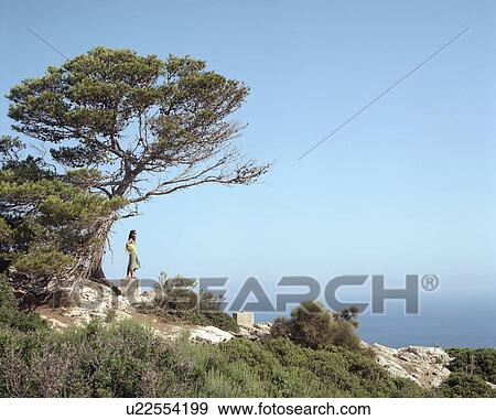 Woman standing on a cement block looking out over the sea. View Large Photo Image Stock Photo - Woman standing on a cement block looking out over the sea.. Fotosearch