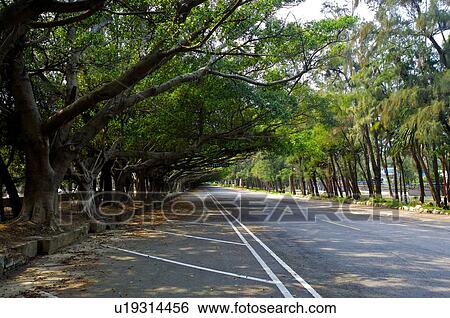 Stock Photograph - Tungshao, Miaoli county. Fotosearch