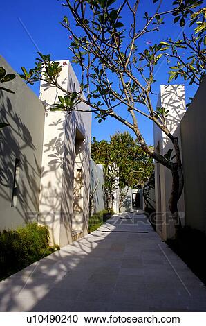 A path paved with stone passing gates View Large Photo Image Stock Image - A path paved with stone passing gates. Fotosearch