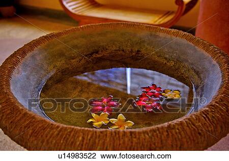 Flower petals floating on water of bowl View Large Photo Image Stock Image - Flower petals floating on water of bowl. Fotosearch