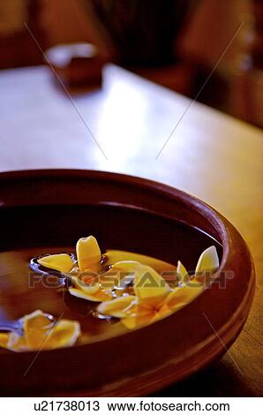 Frangipani in bowl on desk View Large Photo Image Stock Image - Frangipani in bowl on desk. Fotosearch