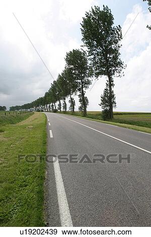 outdoors, way, path, road, highway, freeway View Large Photo Image Stock Photo - outdoors, way, path, road, highway, freeway. Fotosearch