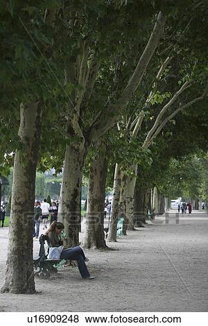Stock Photo - park bench, garden, leaves, trees, shadow, bench. Fotosearch