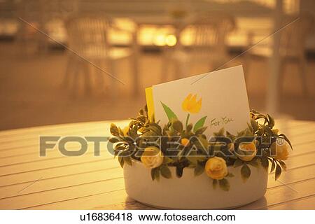 Message Card in Flowerpot, Close Up, Differential Focus View Large Photo Image Stock Photo - Message Card in Flowerpot, Close Up, Differential Focus. Fotosearch