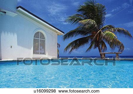 Pool and Building View Large Photo Image Stock Photo - Pool and Building. Fotosearch